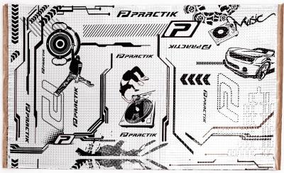 Practik 1.6 (750*460мм)