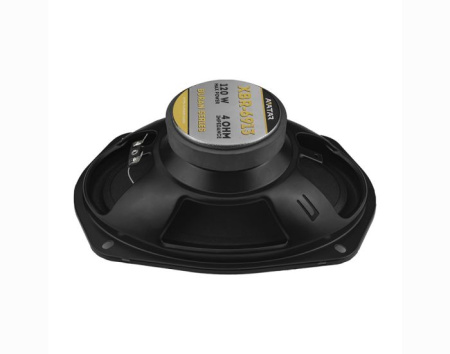 Динамики Avatar XBR-6913